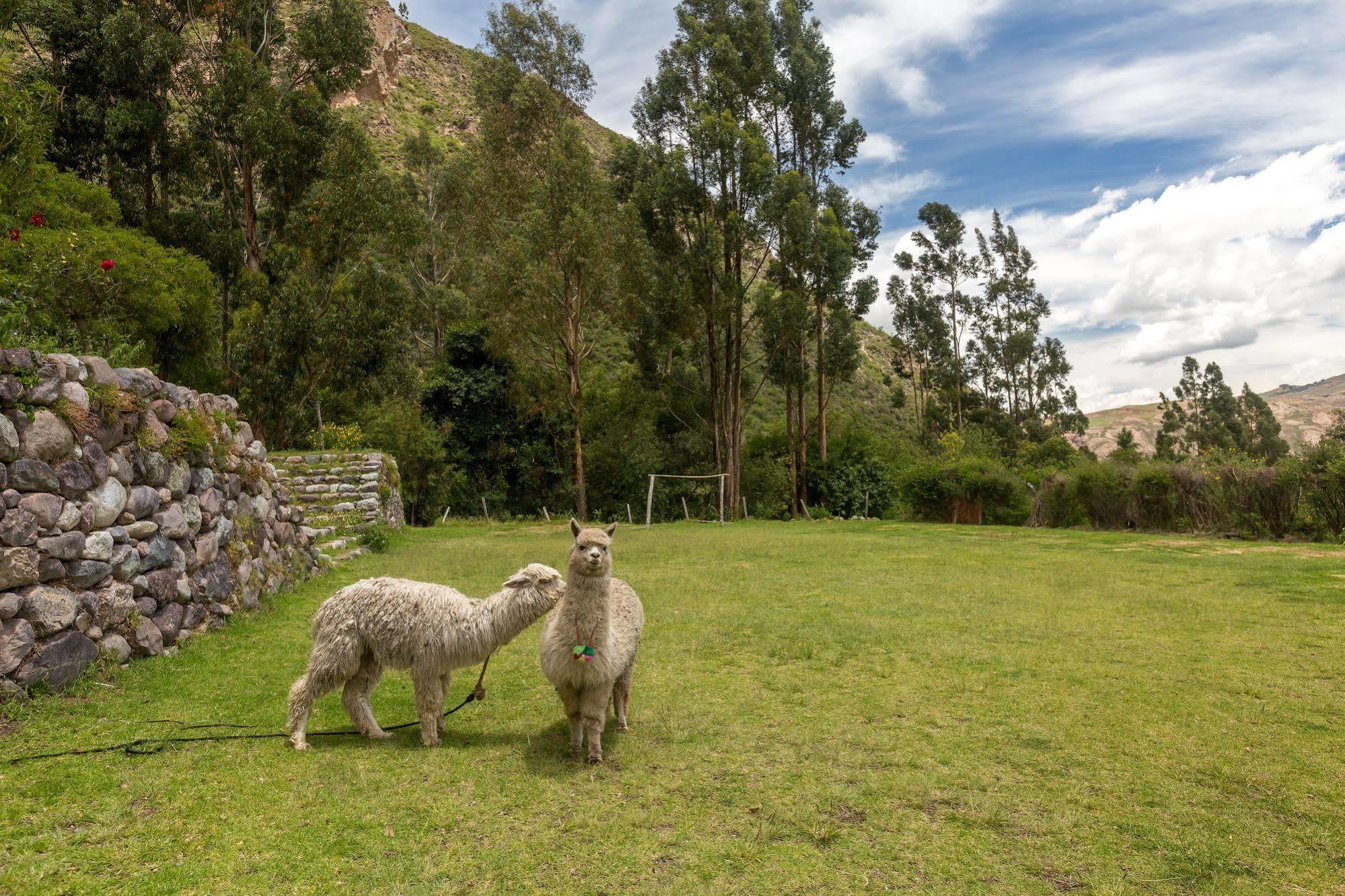 Hotel Hacienda Del Valle Urubamba Exterior foto
